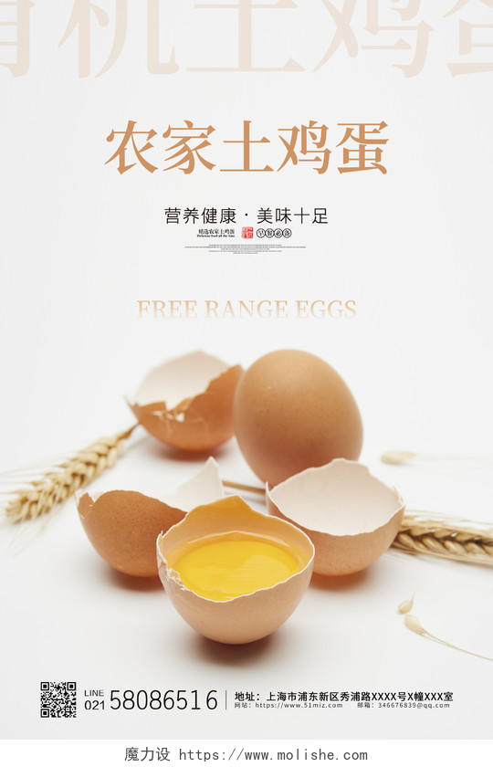 白色简约大气鸡蛋农家土鸡蛋宣传促销海报